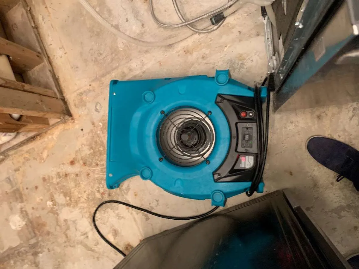 Air mover drying equipment for Mold Remediation & Removal in Mineola